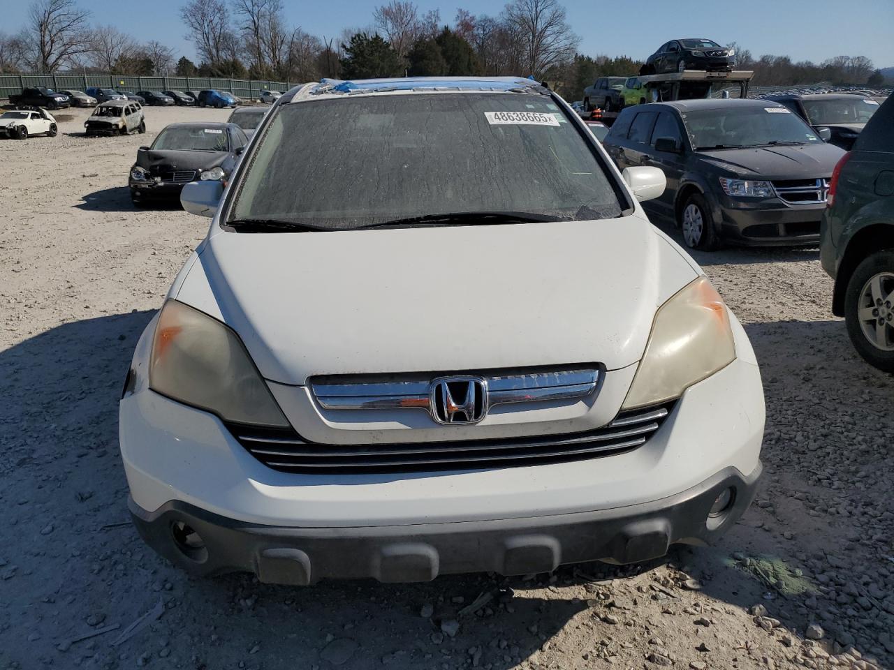 2007 Honda Cr-V Exl VIN: JHLRE48747C008258 Lot: 48638665