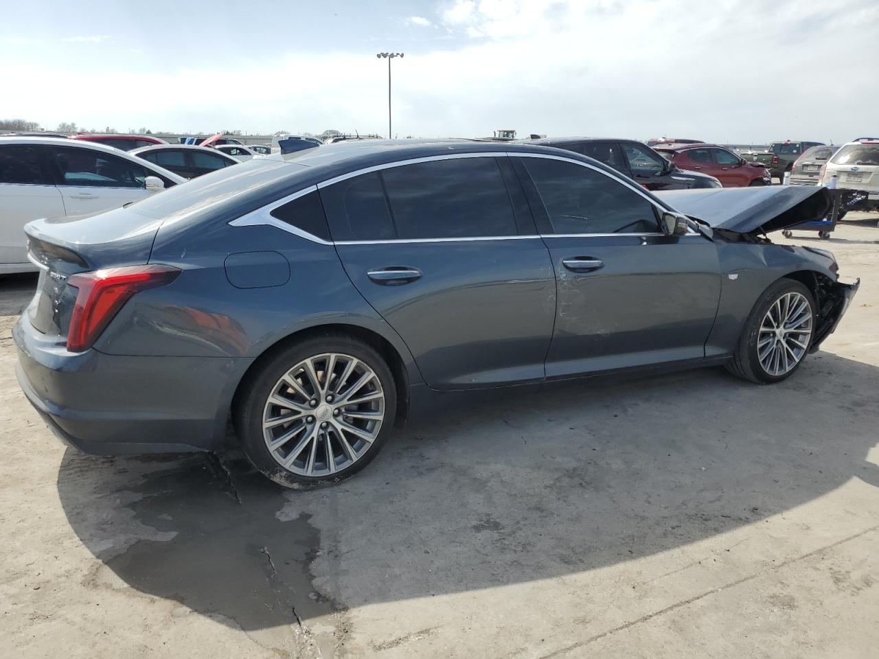 2020 Cadillac Ct5 Premium Luxury VIN: 1G6DN5RK4L0118905 Lot: 48889445