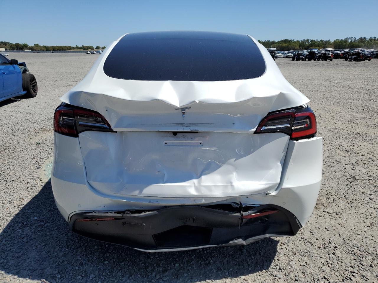 2021 Tesla Model Y VIN: 5YJYGDED8MF113011 Lot: 48774825