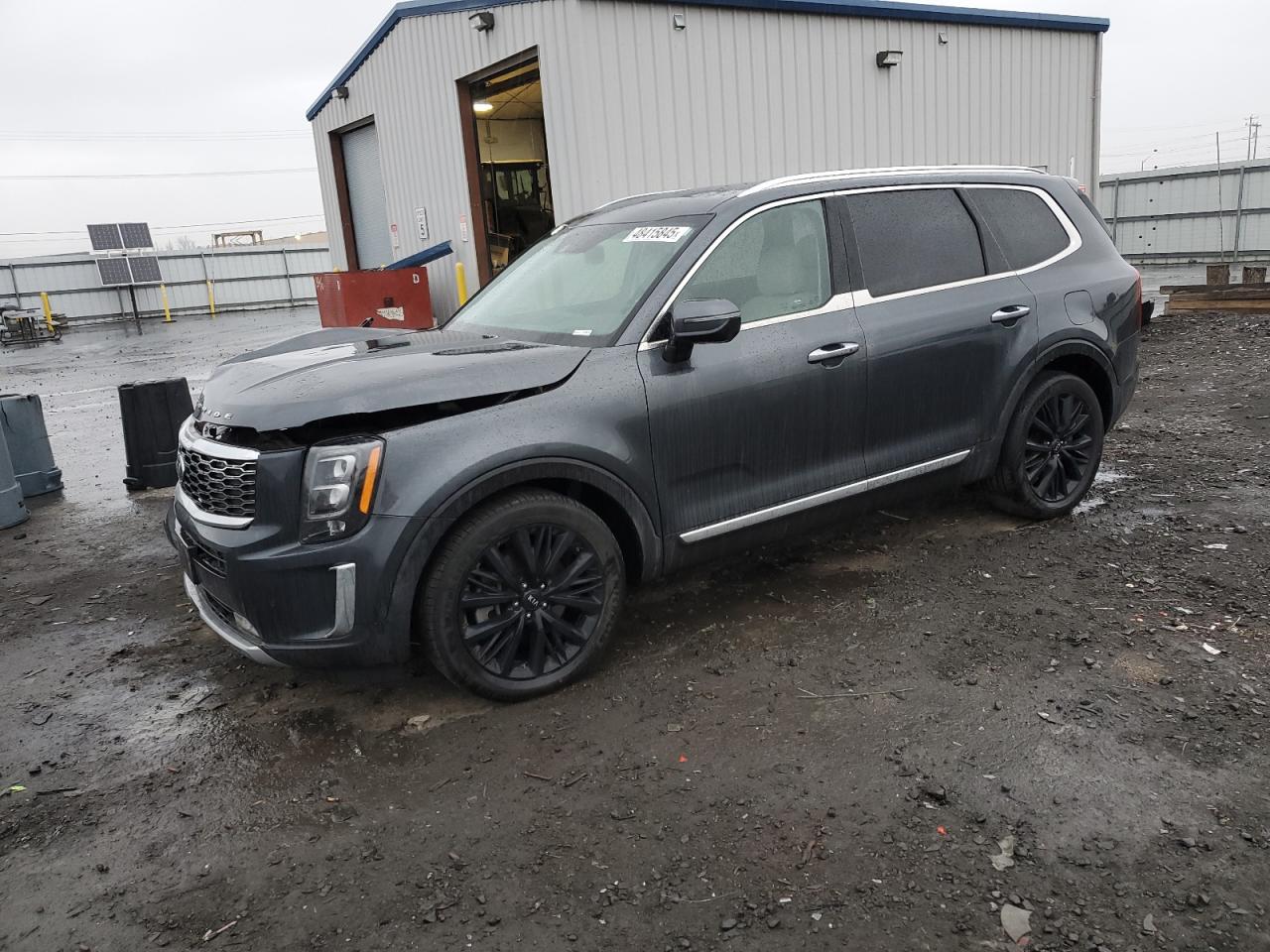 2020 Kia Telluride Sx VIN: 5XYP5DHC1LG045162 Lot: 48415845