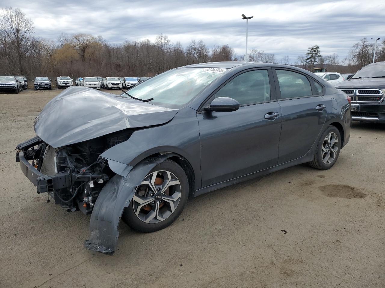 2019 Kia Forte Fe VIN: 3KPF24AD0KE008445 Lot: 49104845