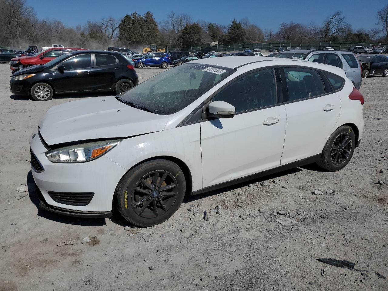 2015 Ford Focus Se VIN: 1FADP3K21FL233024 Lot: 48570685