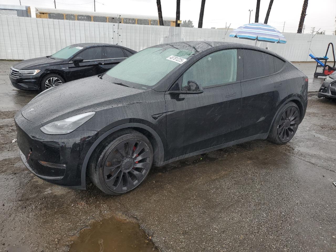 2023 Tesla Model Y VIN: 7SAYGDEF1PF924254 Lot: 48781225