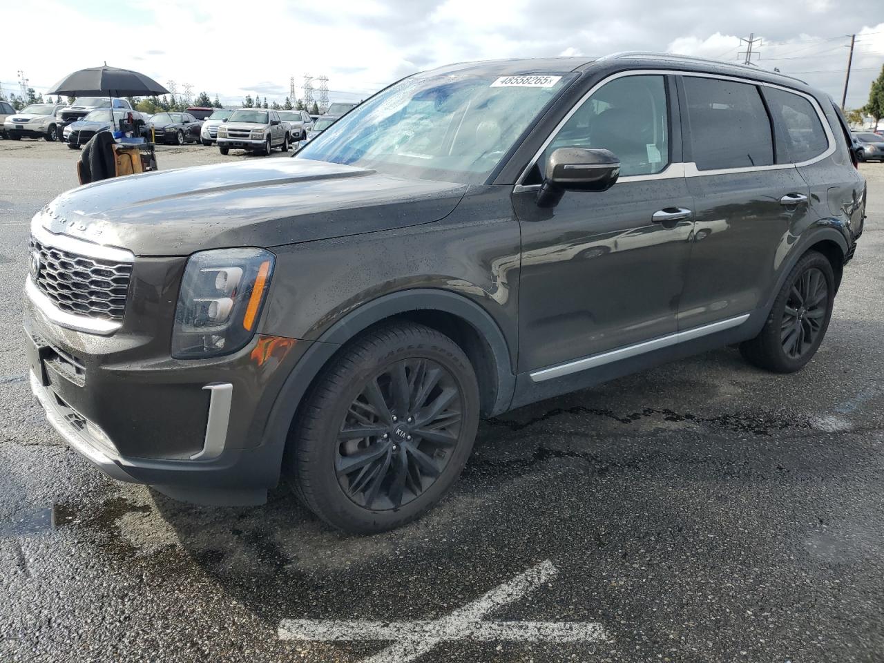 2021 Kia Telluride Sx VIN: 5XYP54HC7MG191227 Lot: 48558265