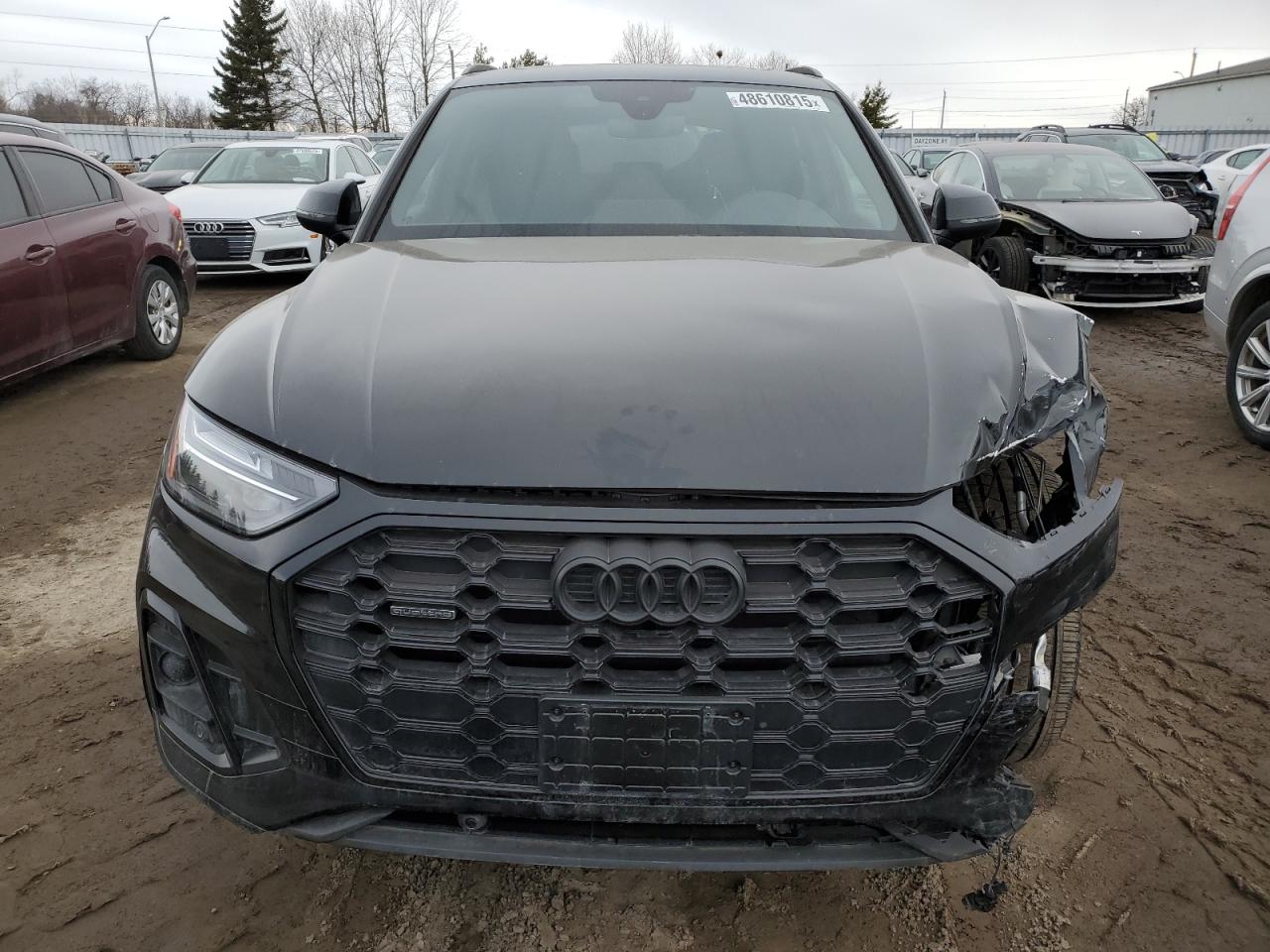 2023 Audi Q5 Premium Plus 45 VIN: WA1EAAFY4P2183661 Lot: 48610815