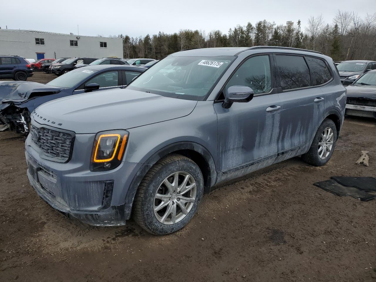 2021 Kia Telluride Sx VIN: 5XYP5DHC9MG137637 Lot: 48626175