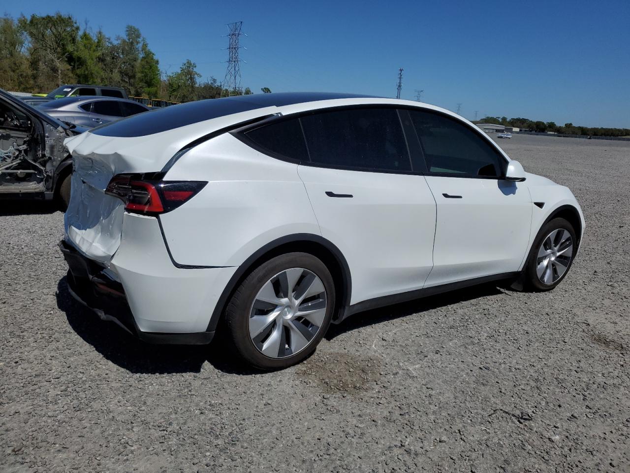 2021 Tesla Model Y VIN: 5YJYGDED8MF113011 Lot: 48774825