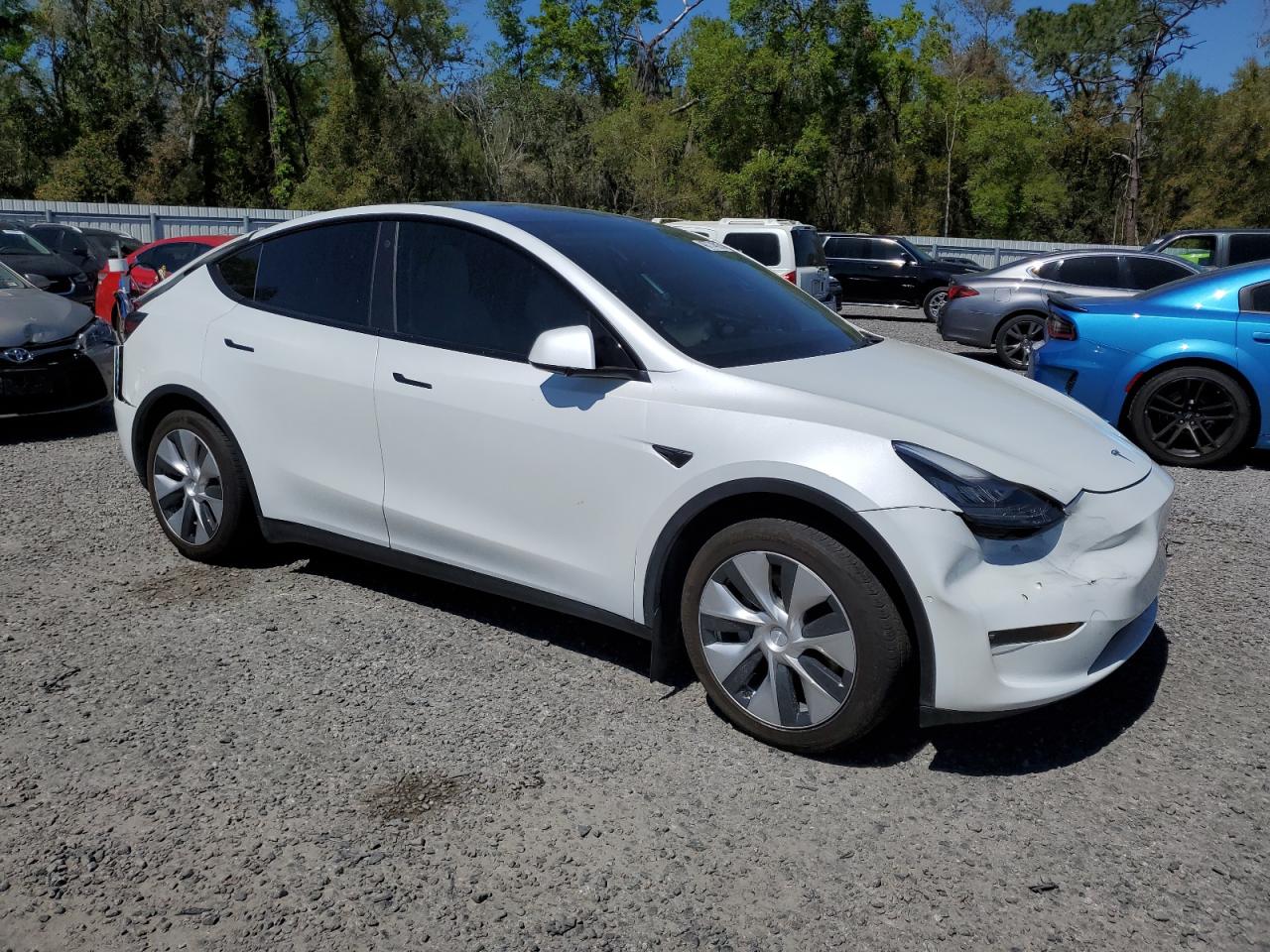 2021 Tesla Model Y VIN: 5YJYGDED8MF113011 Lot: 48774825