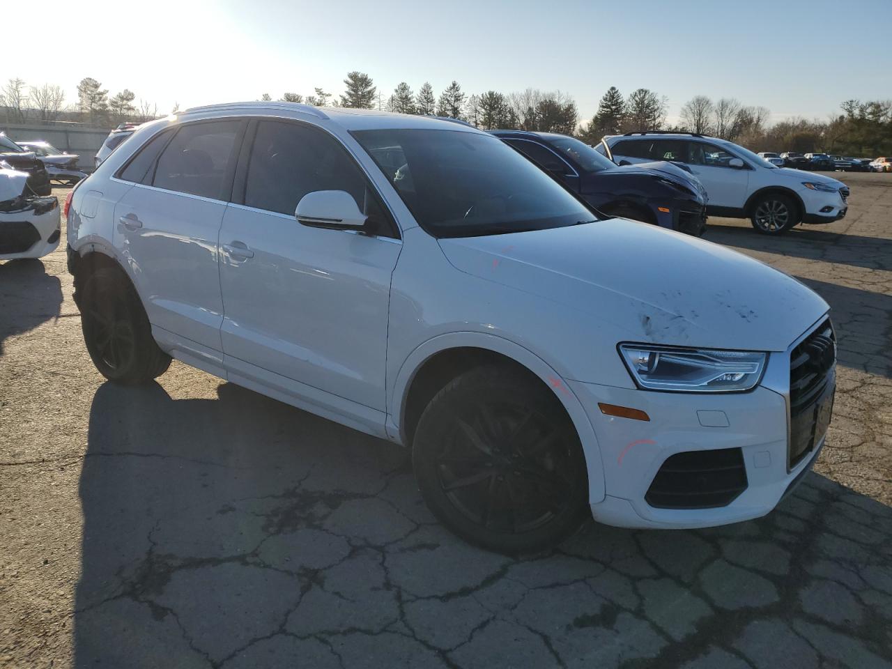 2016 Audi Q3 Premium Plus VIN: WA1EFCFS1GR011507 Lot: 48289625