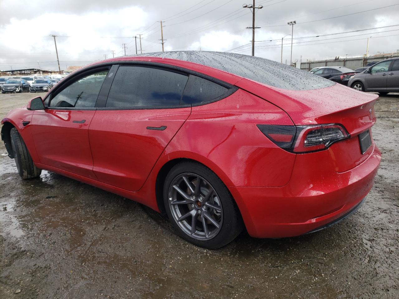 2023 Tesla Model 3 VIN: 5YJ3E1EA0PF384959 Lot: 48729705