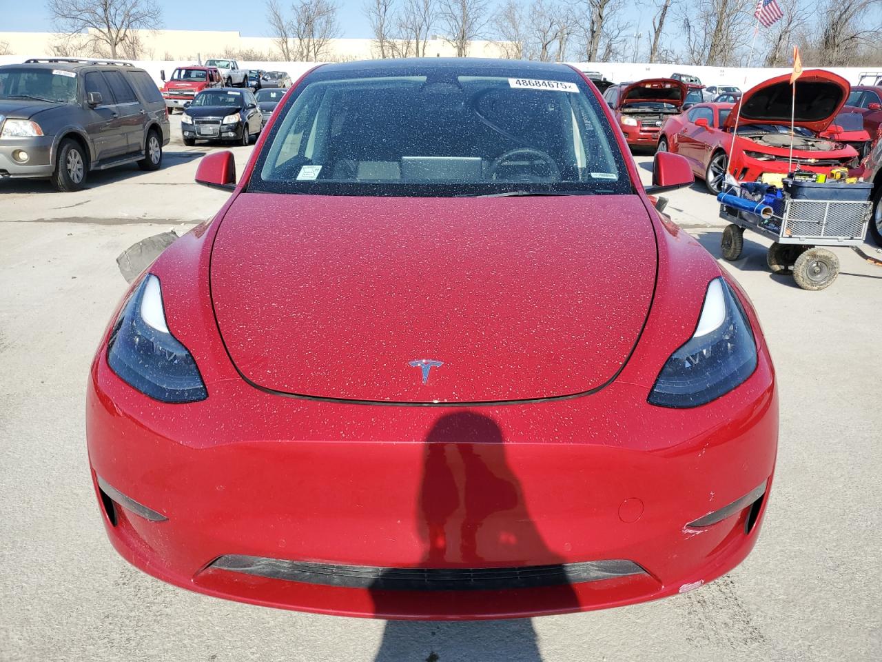 2022 Tesla Model Y VIN: 7SAYGDEFXNF510208 Lot: 48684675