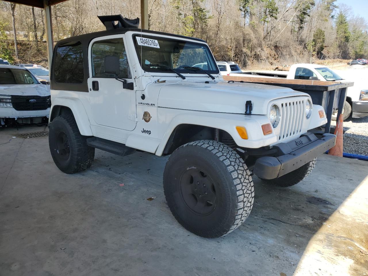 2002 Jeep Wrangler / Tj Sahara VIN: 1J4FA59S52P736364 Lot: 48465765