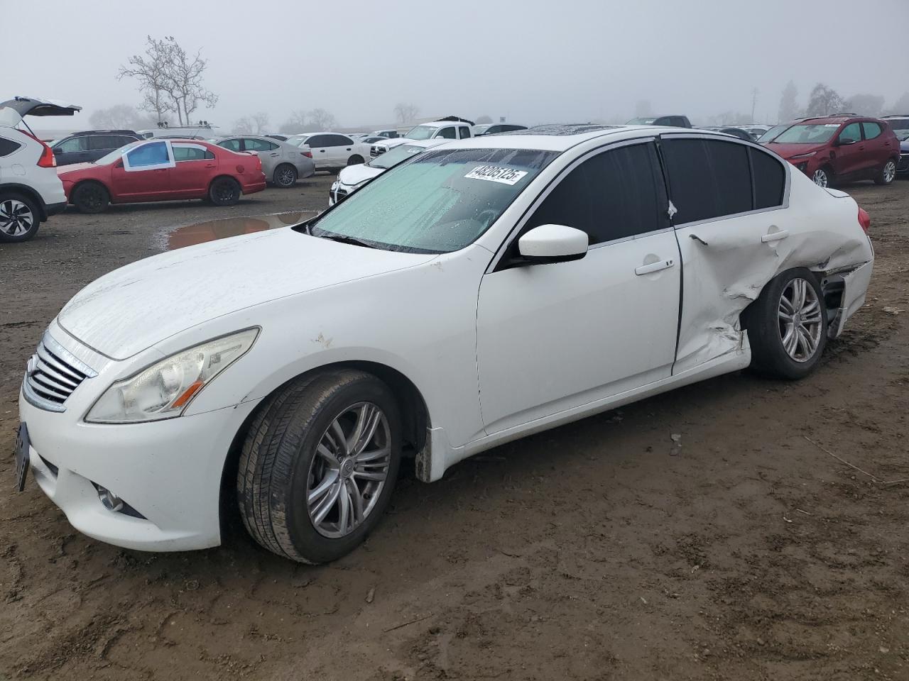 2010 Infiniti G37 VIN: JN1CV6AR4AM255035 Lot: 48205125