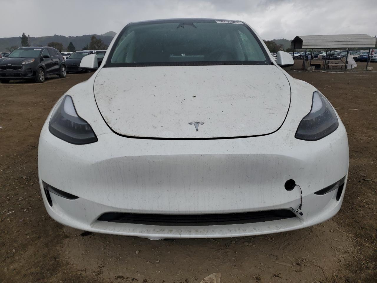 2024 Tesla Model Y VIN: 7SAYGDEE5RF075756 Lot: 48819465