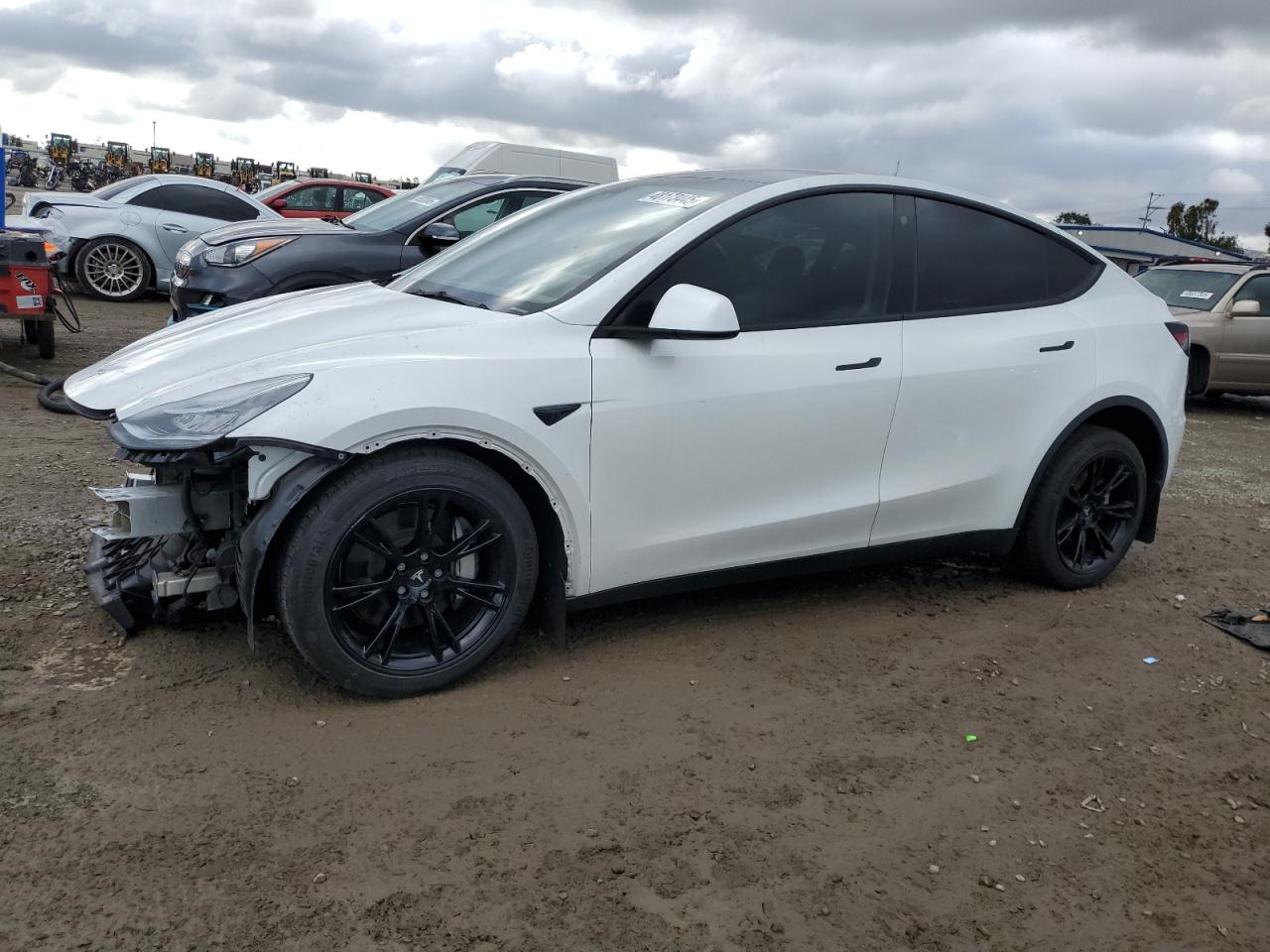 2023 Tesla Model Y VIN: 7SAYGDEE6PA120231 Lot: 48173445