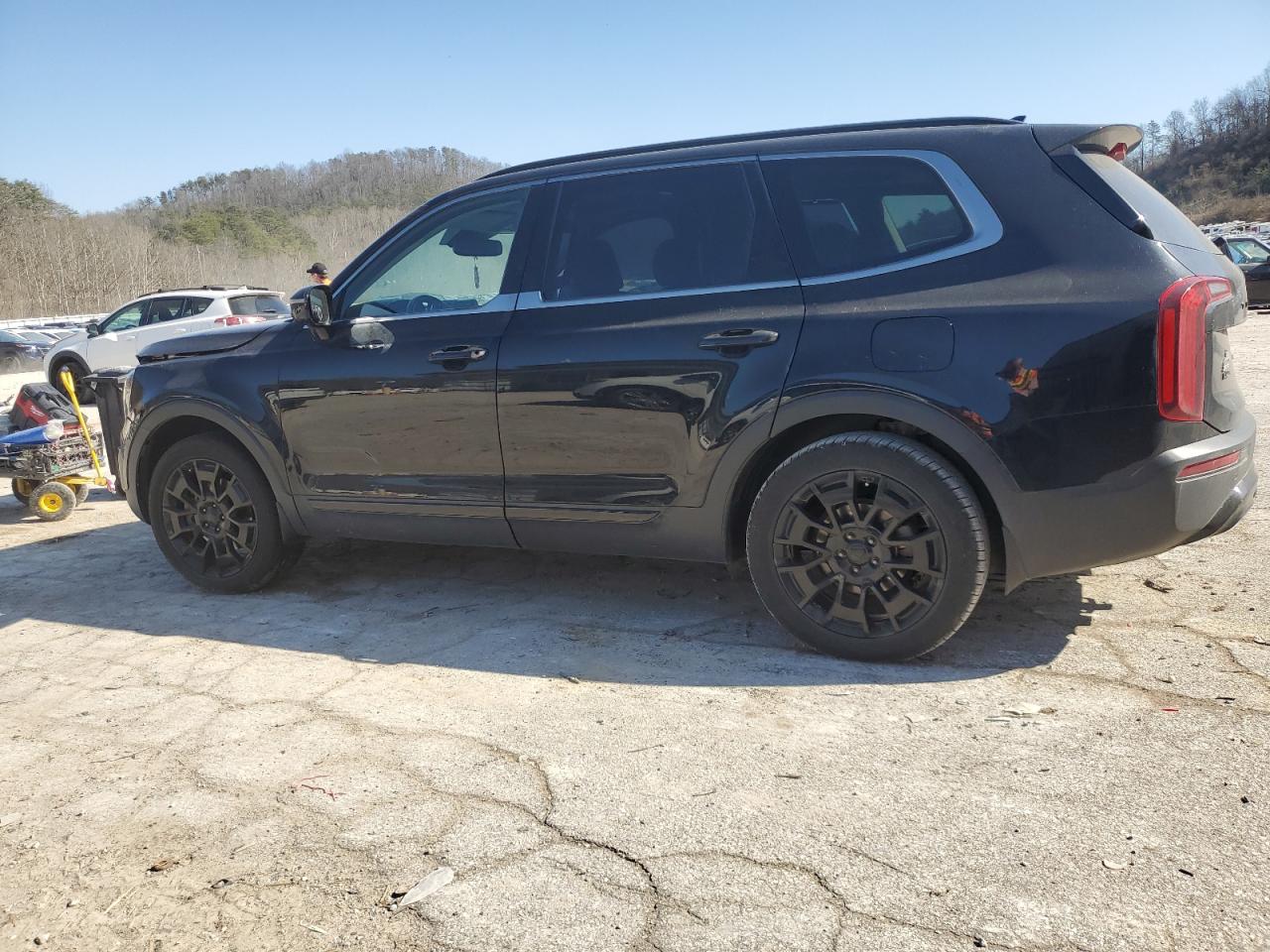 2021 Kia Telluride Sx VIN: 5XYP5DHC8MG124720 Lot: 48765715