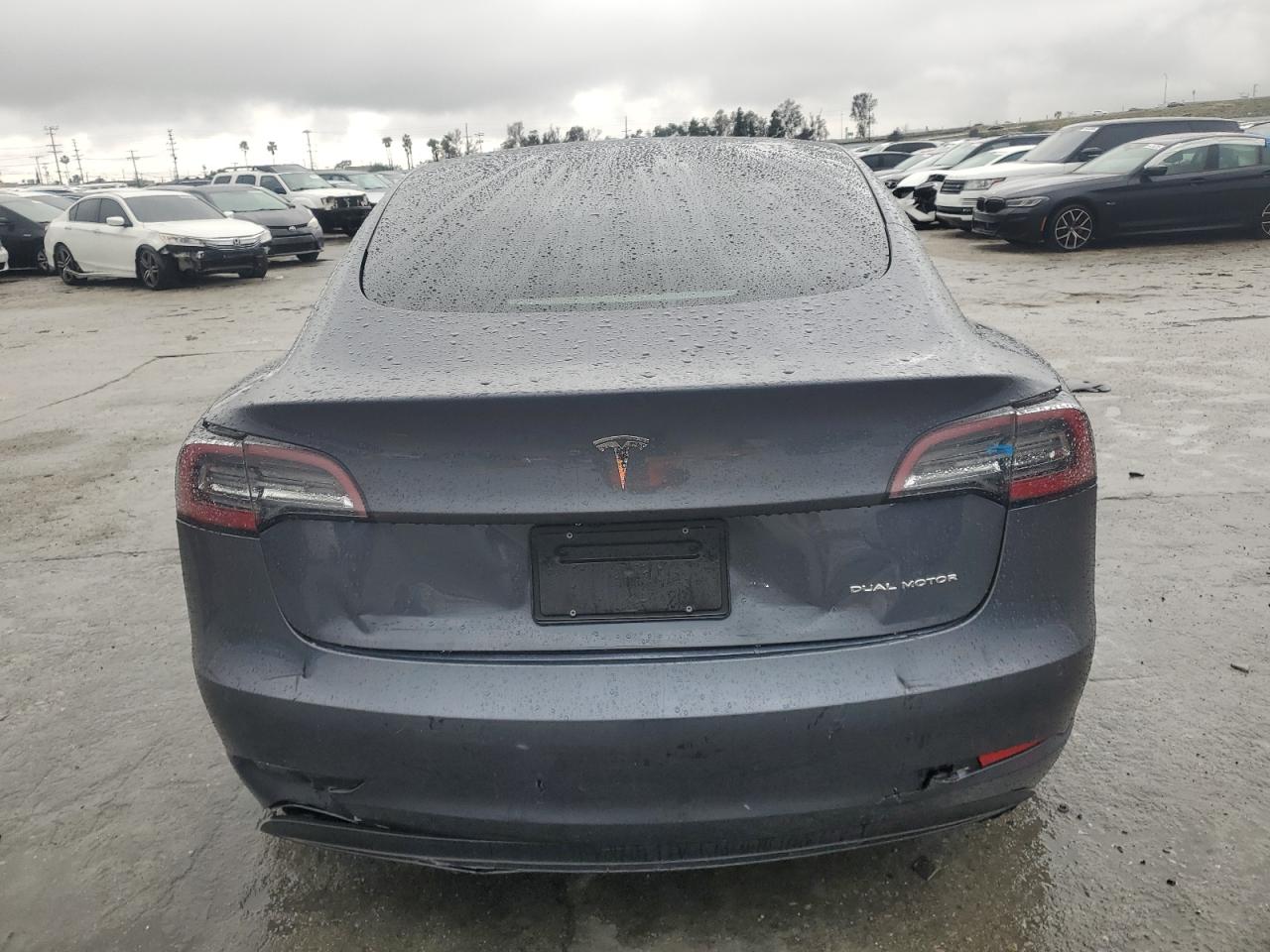 2022 Tesla Model 3 VIN: 5YJ3E1EBXNF206787 Lot: 49070325