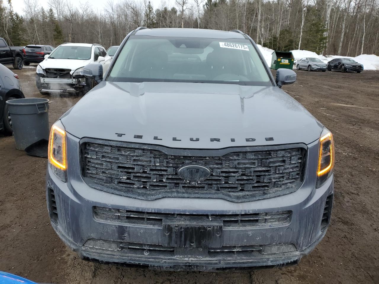 2021 Kia Telluride Sx VIN: 5XYP5DHC9MG137637 Lot: 48626175