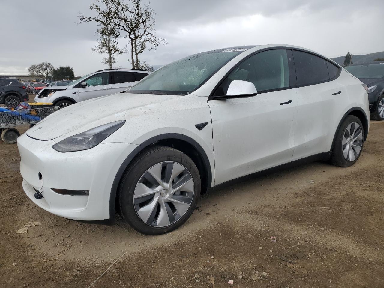 2024 Tesla Model Y VIN: 7SAYGDEE5RF075756 Lot: 48819465