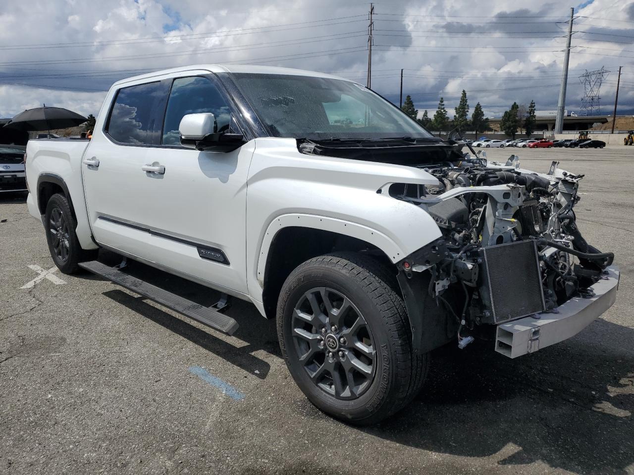 2022 Toyota Tundra Crewmax Platinum VIN: 5TFNA5DB6NX005049 Lot: 48754605