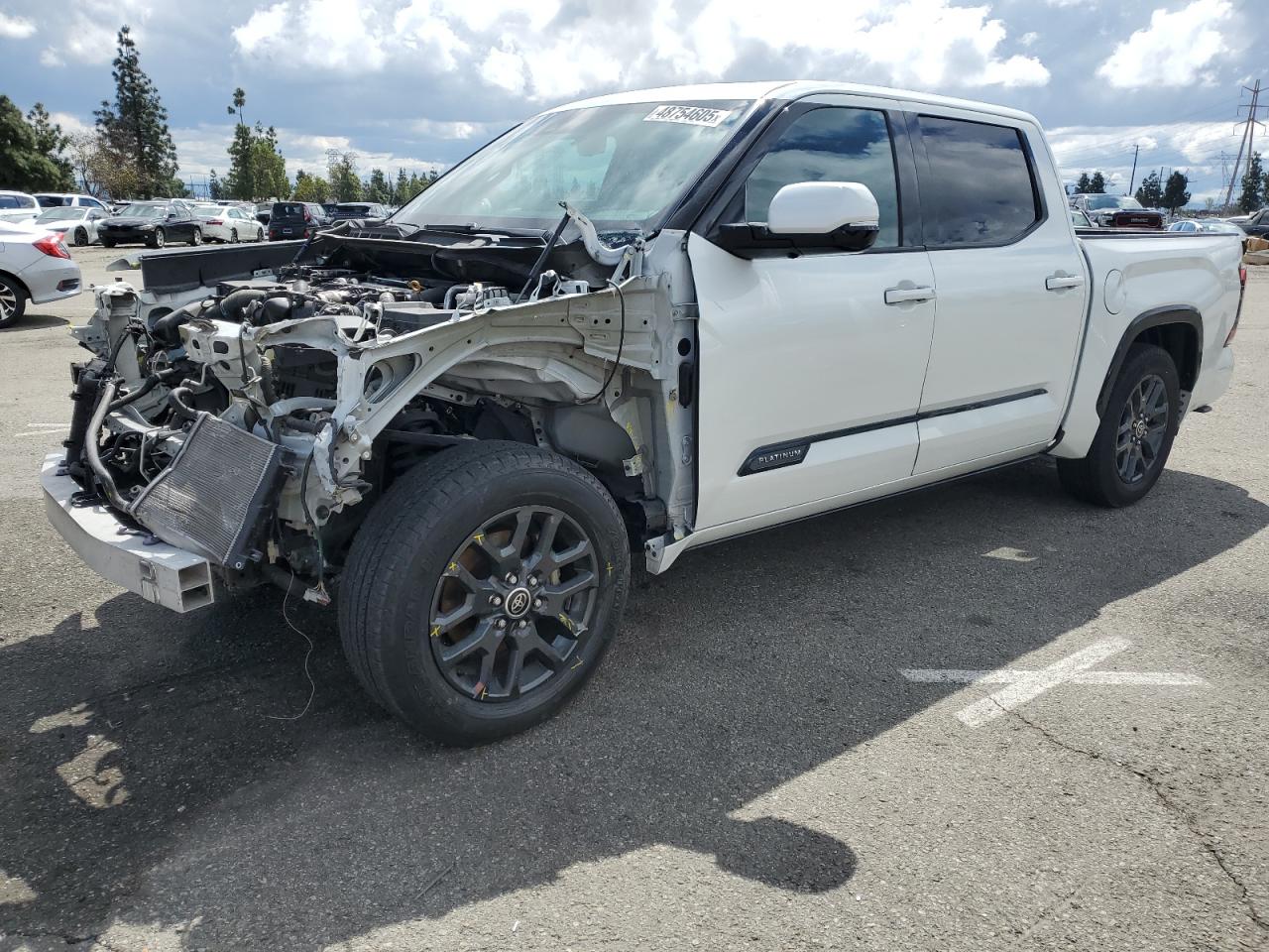 2022 Toyota Tundra Crewmax Platinum VIN: 5TFNA5DB6NX005049 Lot: 48754605