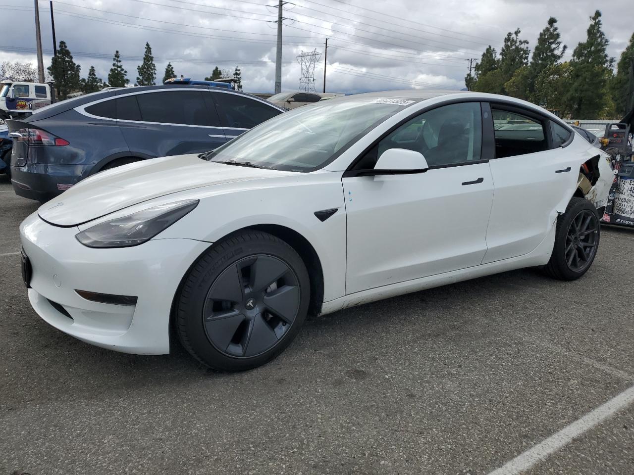 2023 Tesla Model 3 VIN: 5YJ3E1EA0PF407706 Lot: 48431525