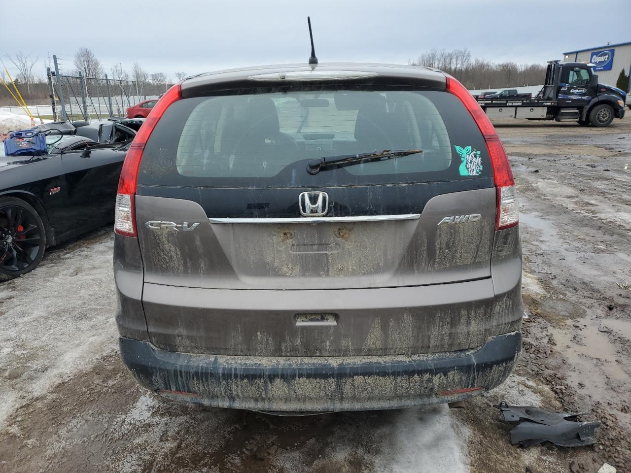 2014 Honda Cr-V Lx VIN: 5J6RM4H3XEL013419 Lot: 48407705