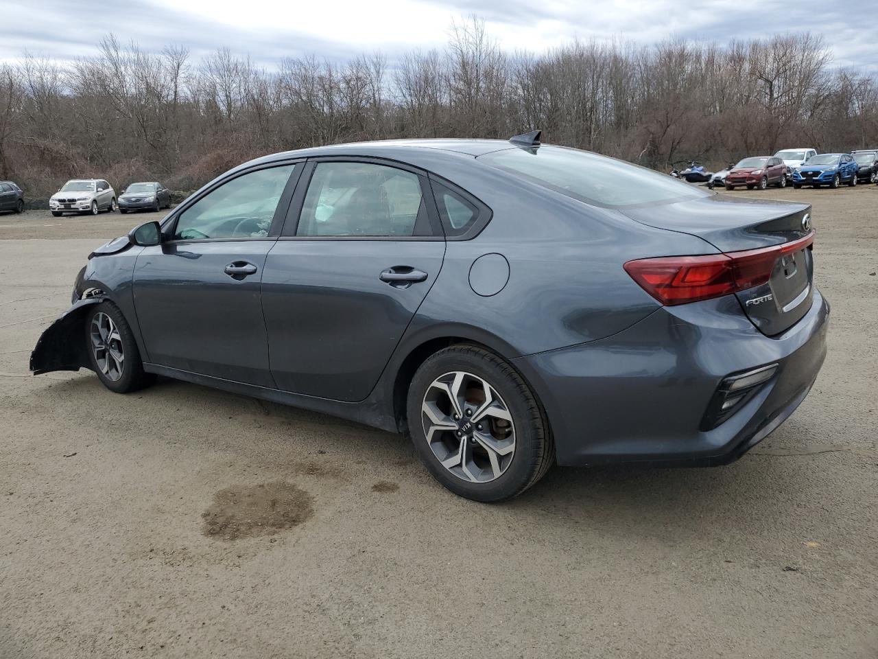 2019 Kia Forte Fe VIN: 3KPF24AD0KE008445 Lot: 49104845