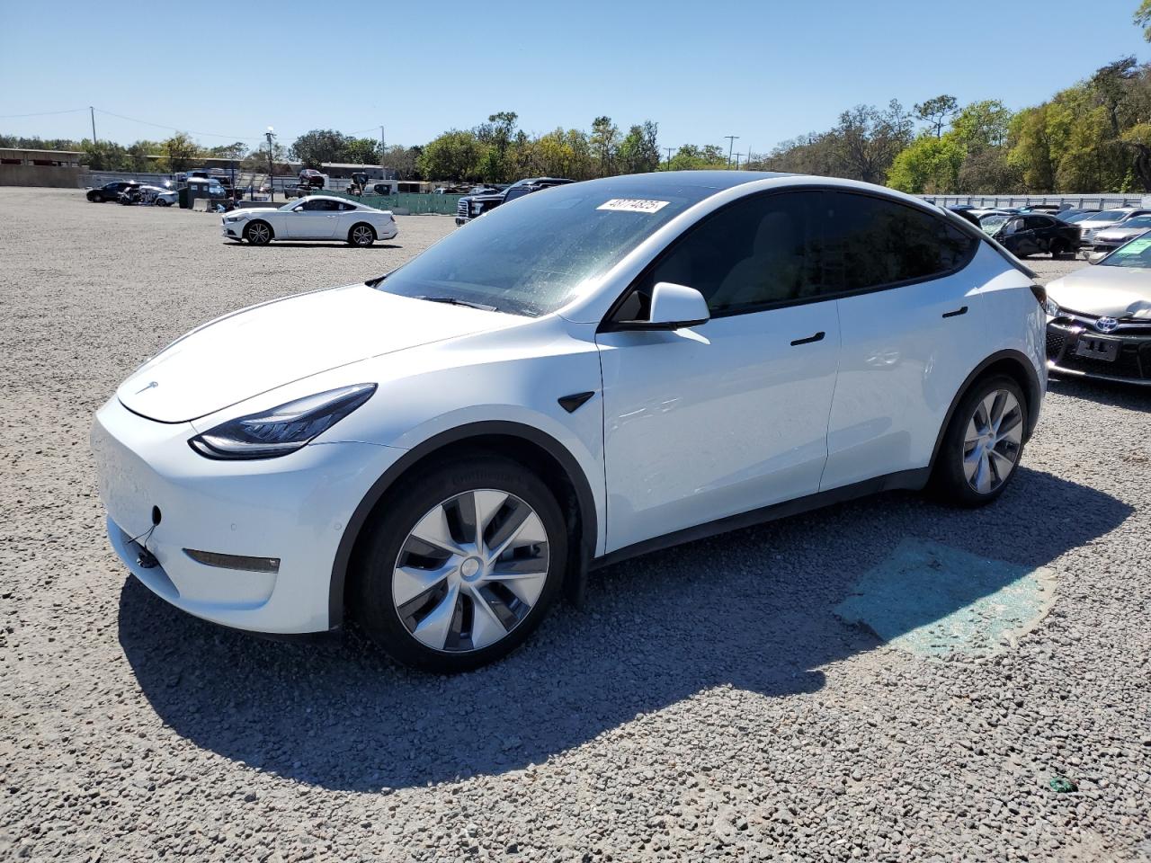 2021 Tesla Model Y VIN: 5YJYGDED8MF113011 Lot: 48774825