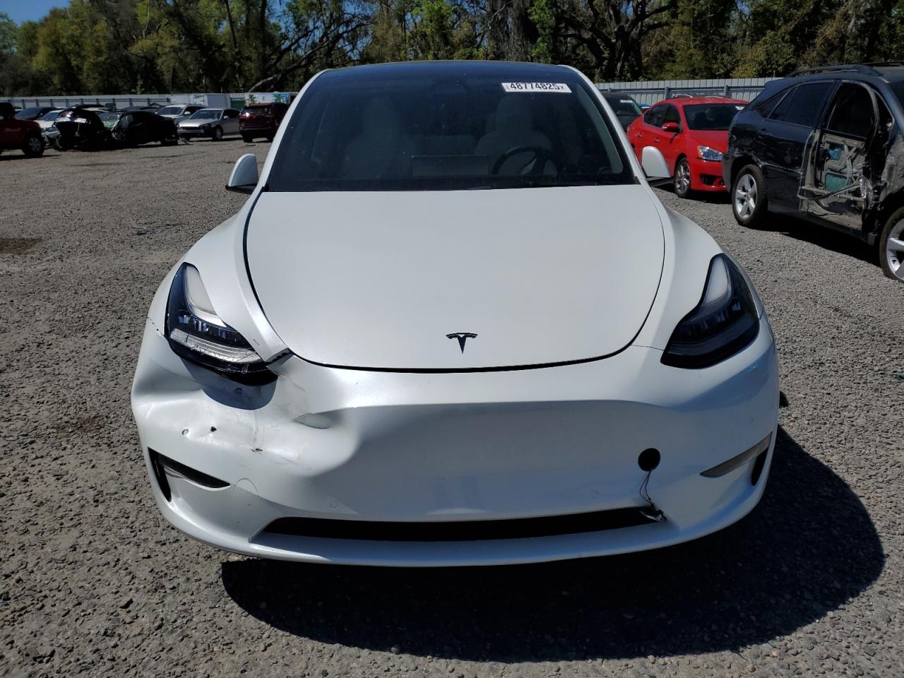 2021 Tesla Model Y VIN: 5YJYGDED8MF113011 Lot: 48774825