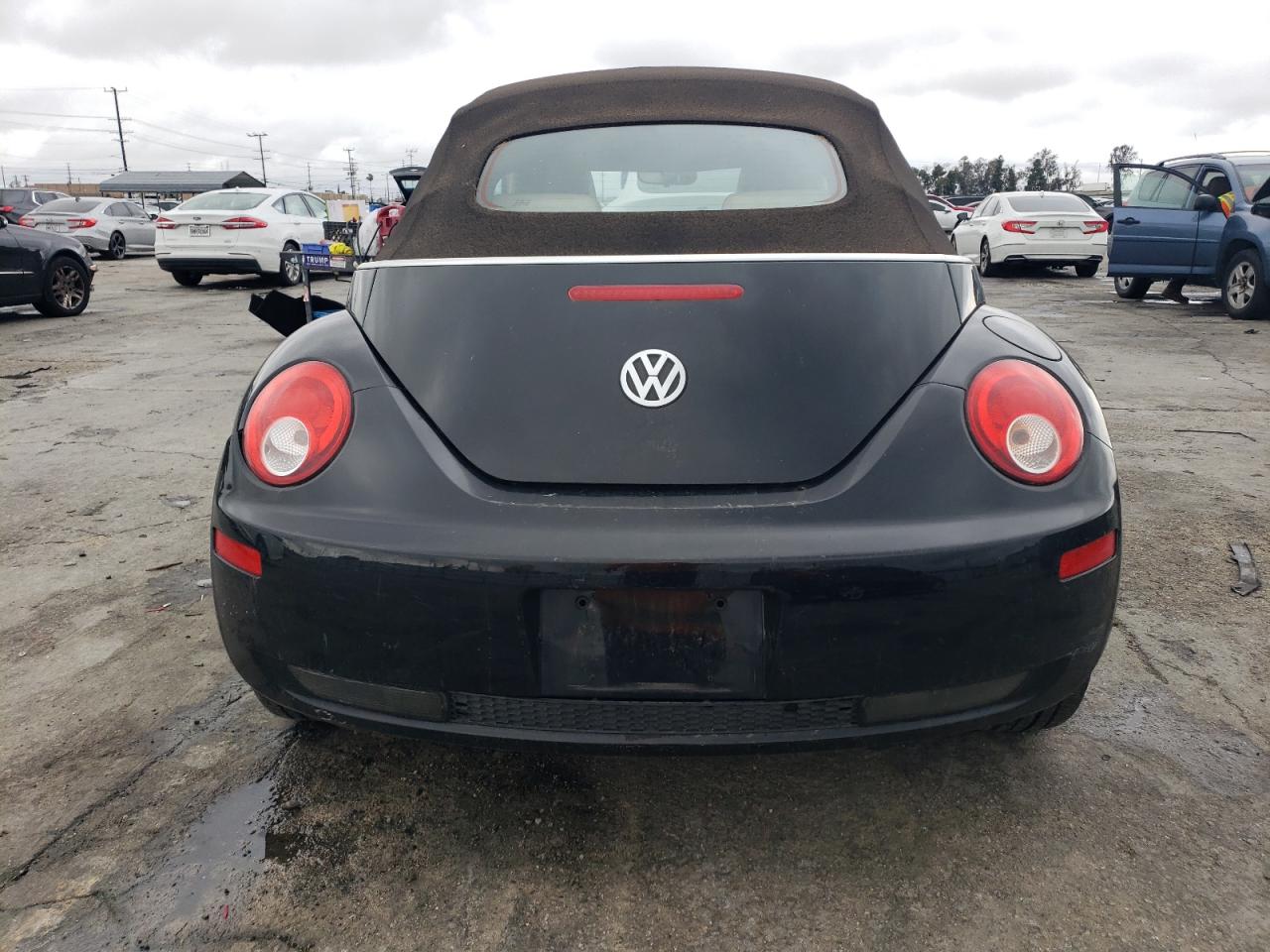 2010 Volkswagen New Beetle VIN: 3VWRG3AL4AM009194 Lot: 48817135