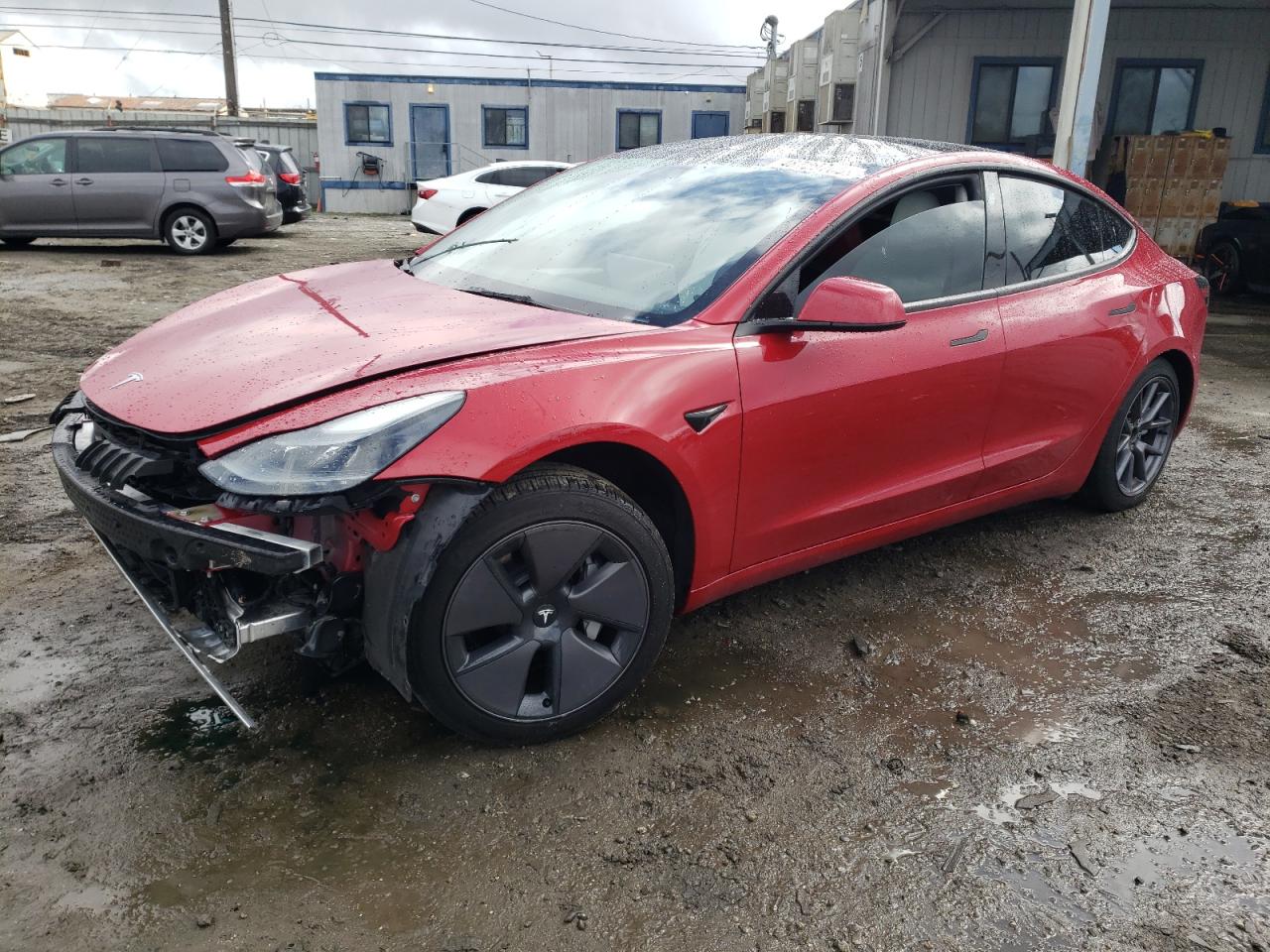 2023 Tesla Model 3 VIN: 5YJ3E1EA0PF384959 Lot: 48729705