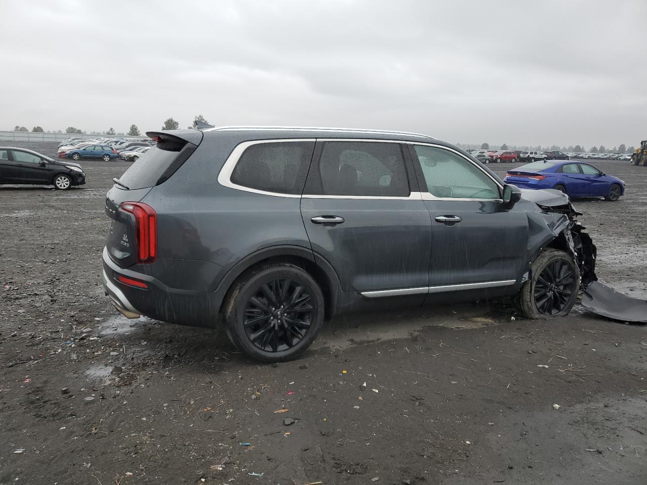 2020 Kia Telluride Sx VIN: 5XYP5DHC1LG045162 Lot: 48415845