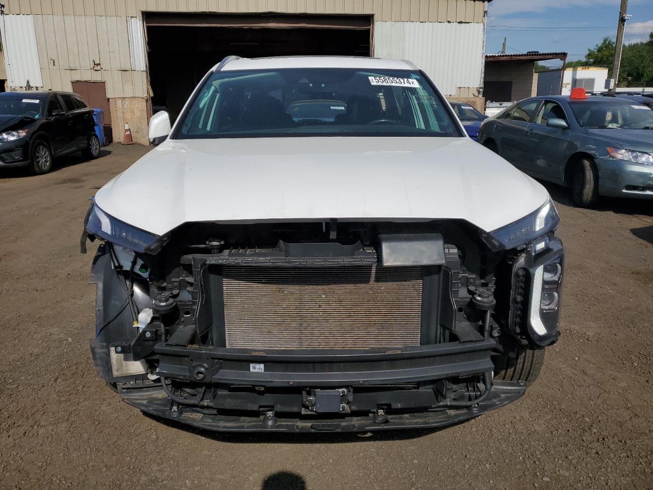 2022 Hyundai Palisade Sel VIN: KM8R44HE2NU347456 Lot: 55855374