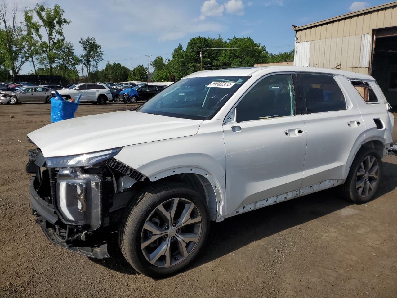 2022 Hyundai Palisade Sel VIN: KM8R44HE2NU347456 Lot: 55855374