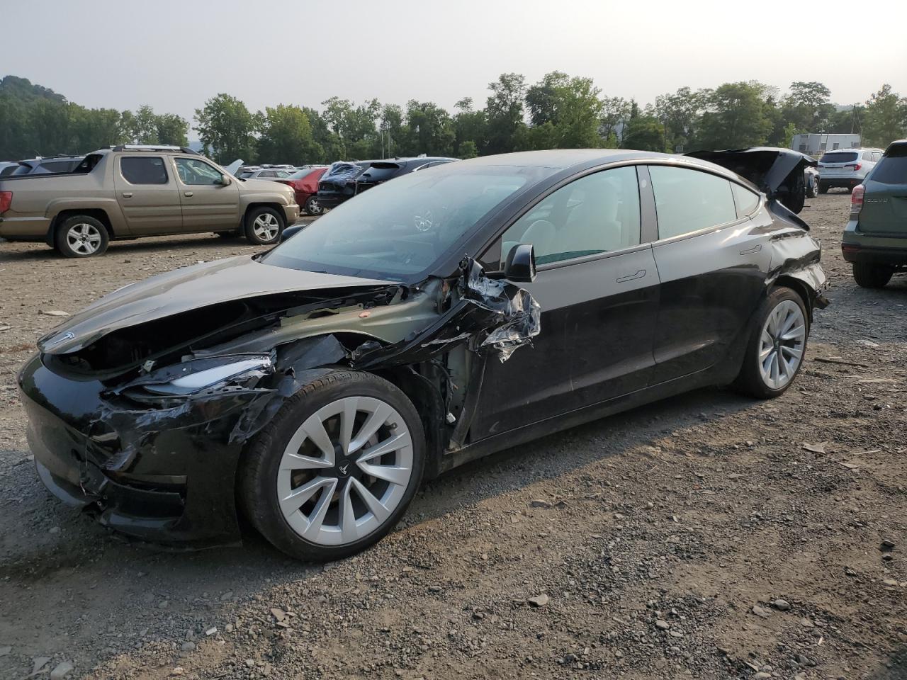 2022 Tesla Model 3 VIN: 5YJ3E1EA2NF302629 Lot: 66206214