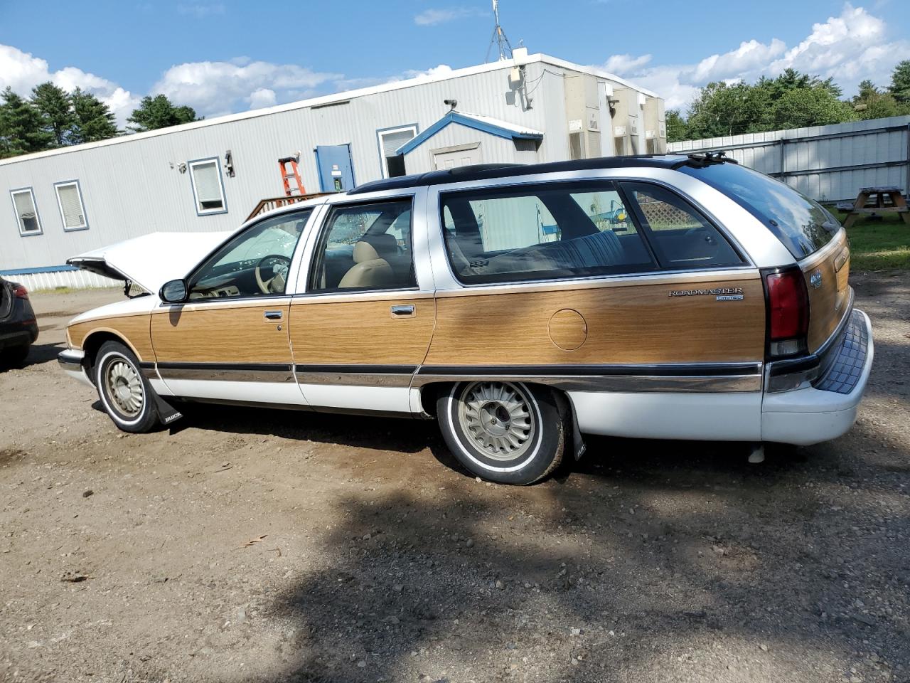 1996 Buick Roadmaster Base VIN: 1G4BR82PXTR420724 Lot: 67904204