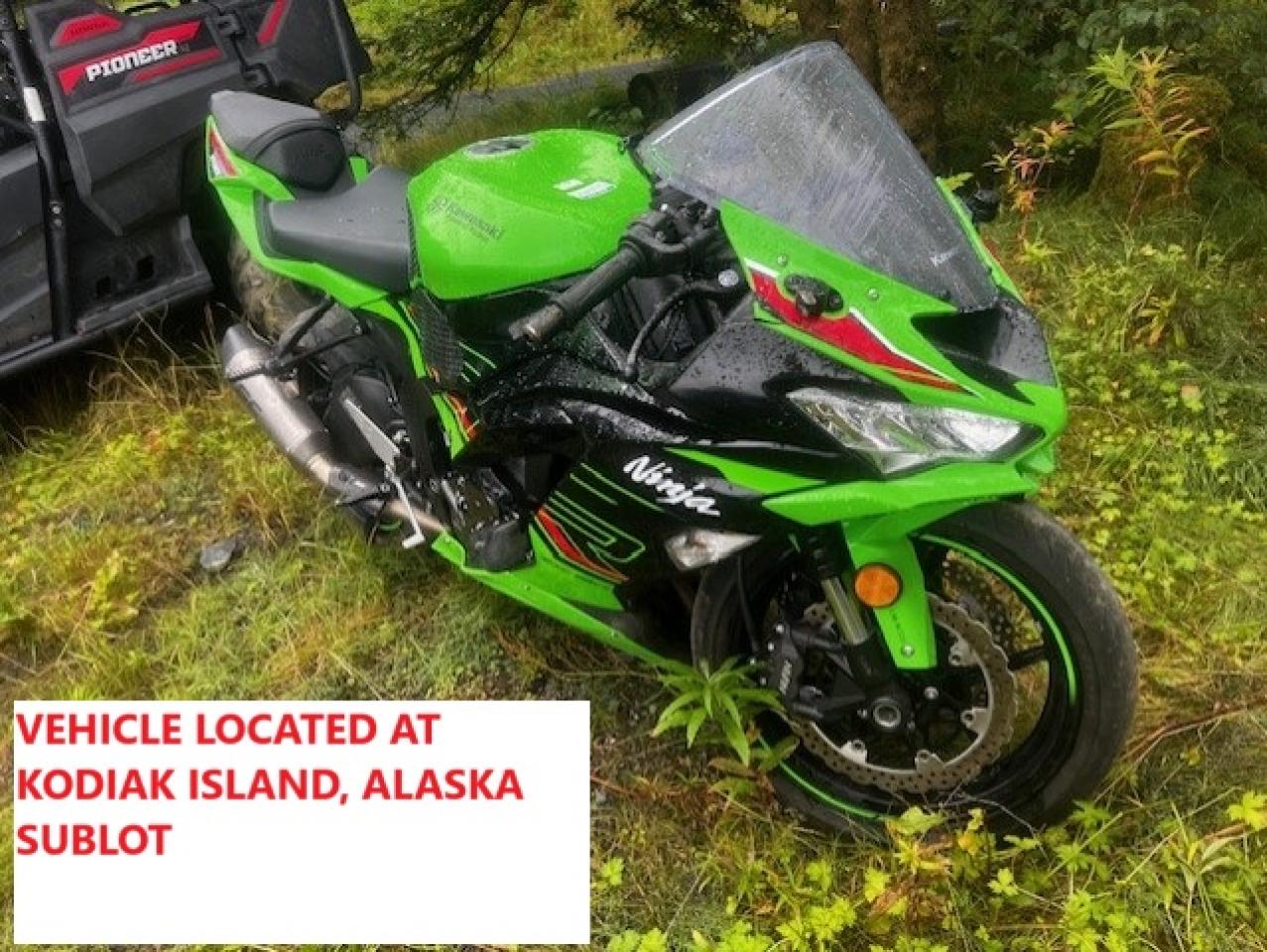 2023 Kawasaki Zx636 K VIN: JKBZXJG19PA022452 Lot: 69430744