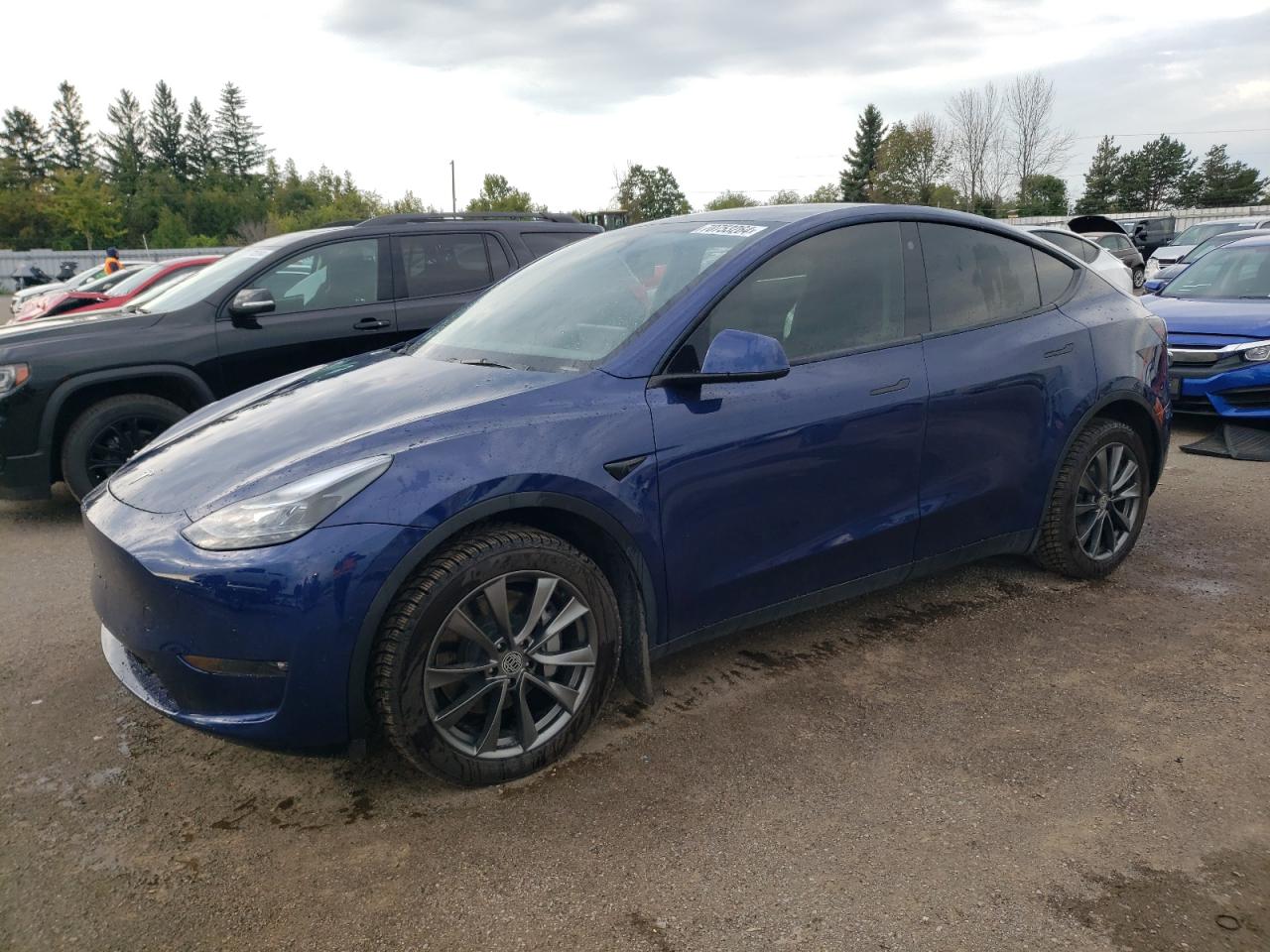 2022 Tesla Model Y VIN: 7SAYGDEE6NF550034 Lot: 70753264