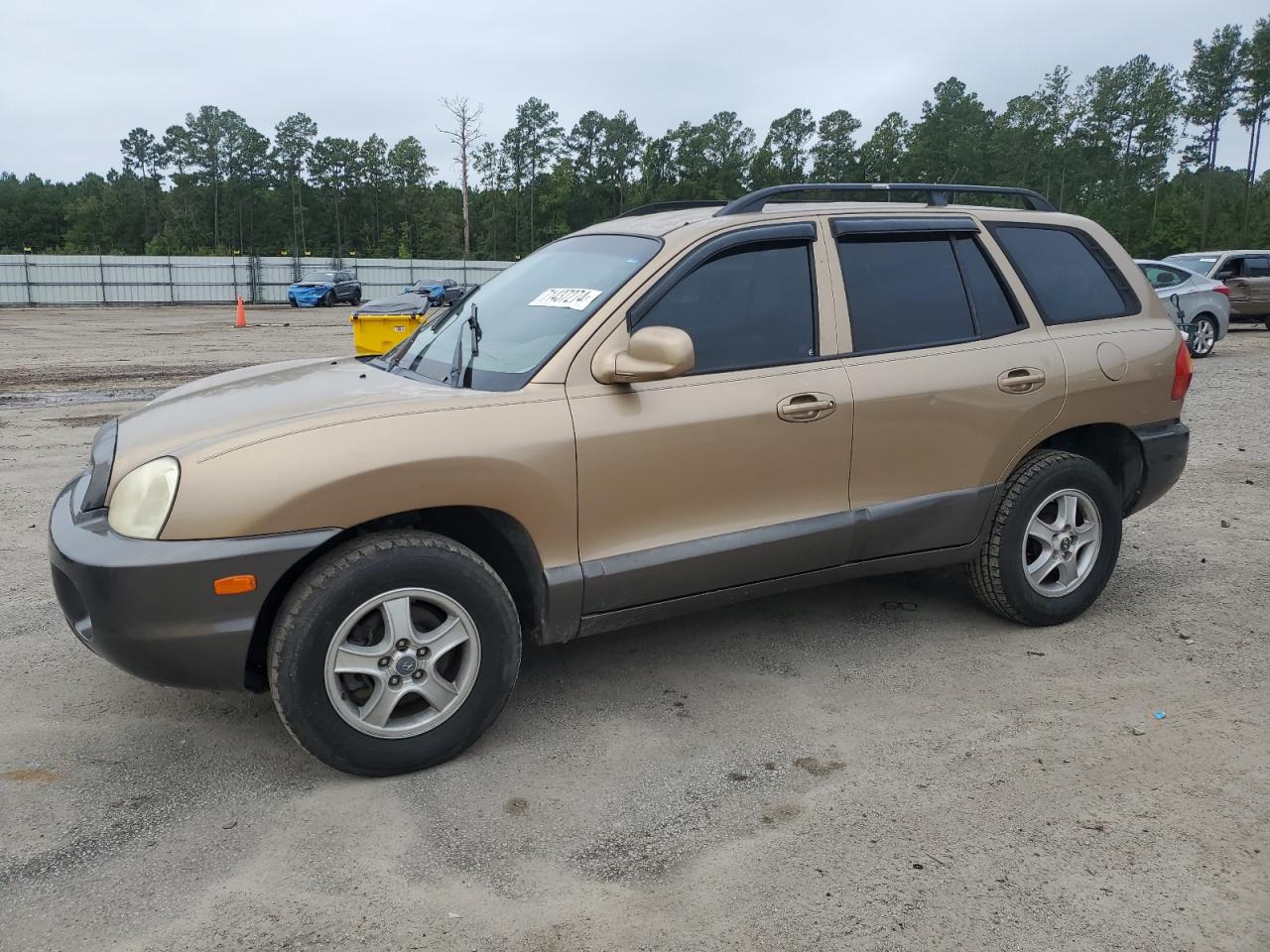 2004 Hyundai Santa Fe Gls VIN: KM8SC13E74U729488 Lot: 71437274