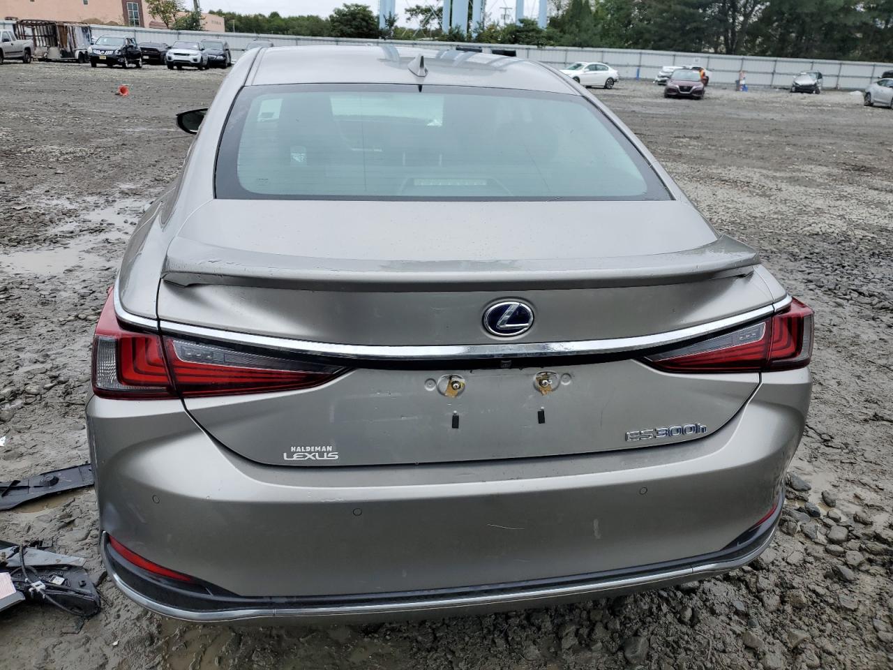 2020 Lexus Es 300H Luxury VIN: 58AE21B13LU004718 Lot: 73530084