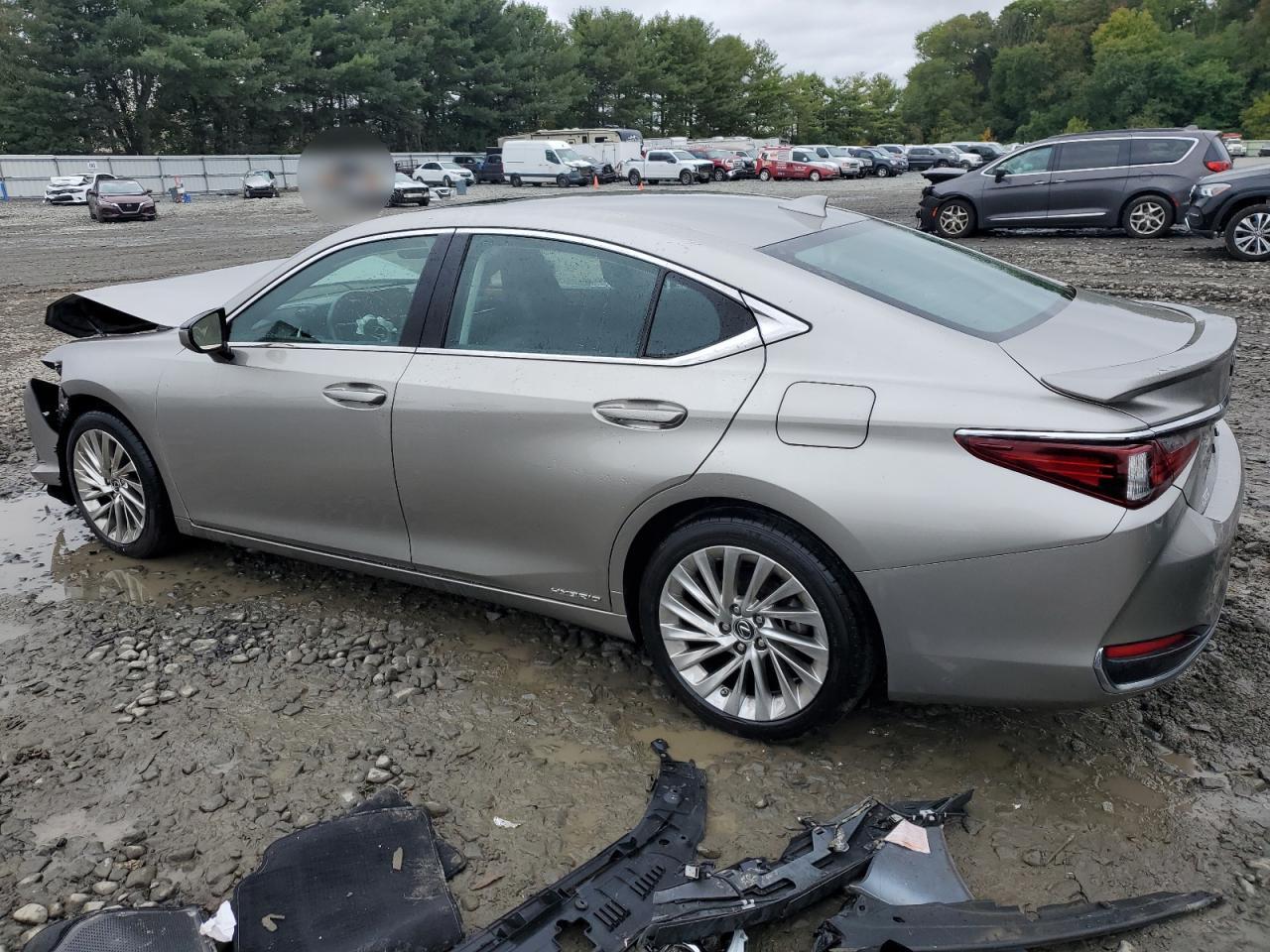 2020 Lexus Es 300H Luxury VIN: 58AE21B13LU004718 Lot: 73530084