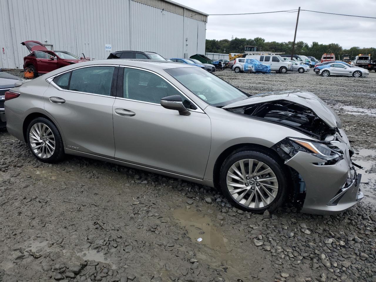 2020 Lexus Es 300H Luxury VIN: 58AE21B13LU004718 Lot: 73530084