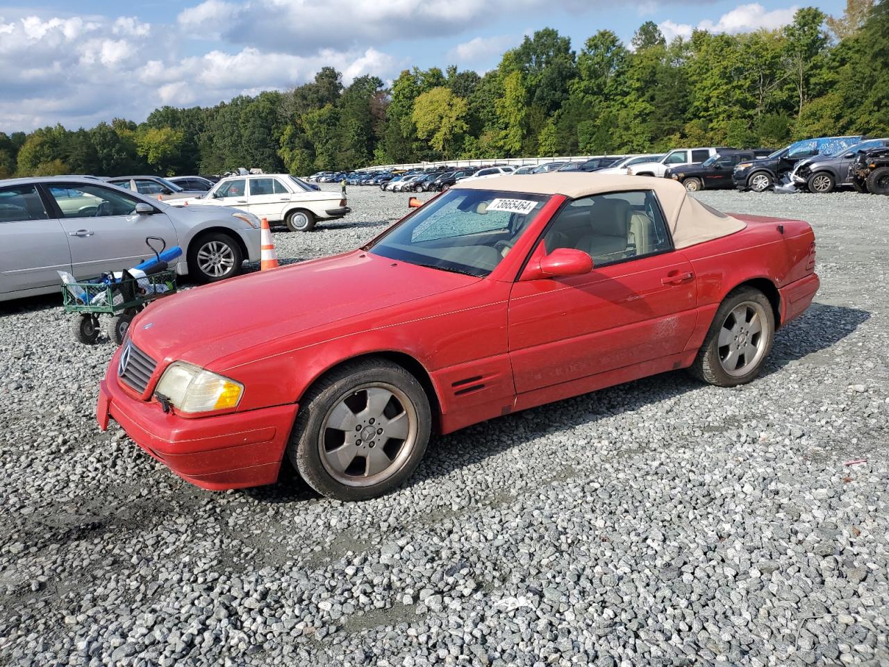 1999 Mercedes-Benz Sl 500 VIN: WDBFA68F0XF183781 Lot: 73665464