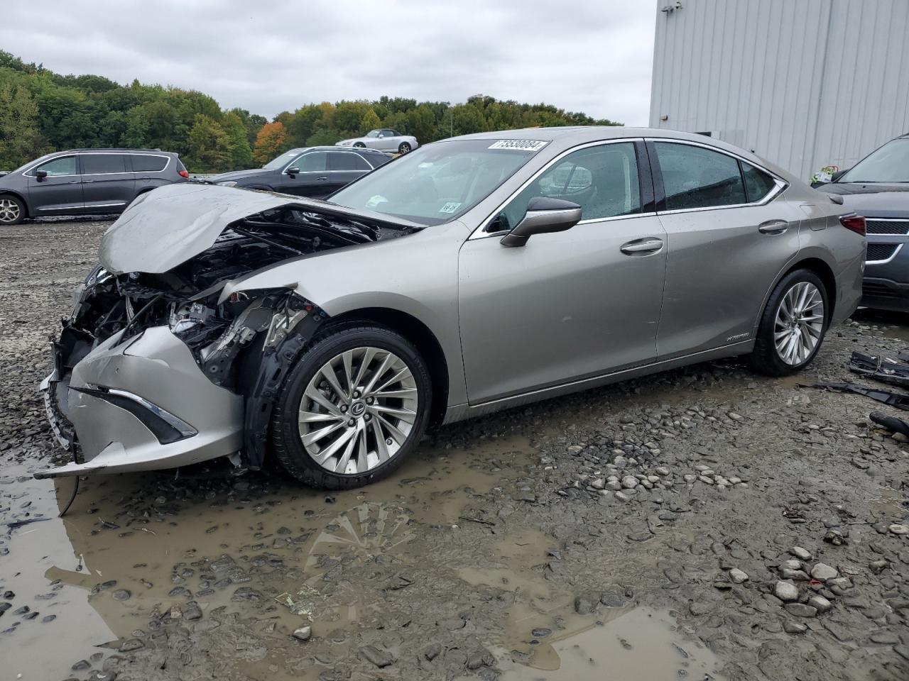 2020 Lexus Es 300H Luxury VIN: 58AE21B13LU004718 Lot: 73530084