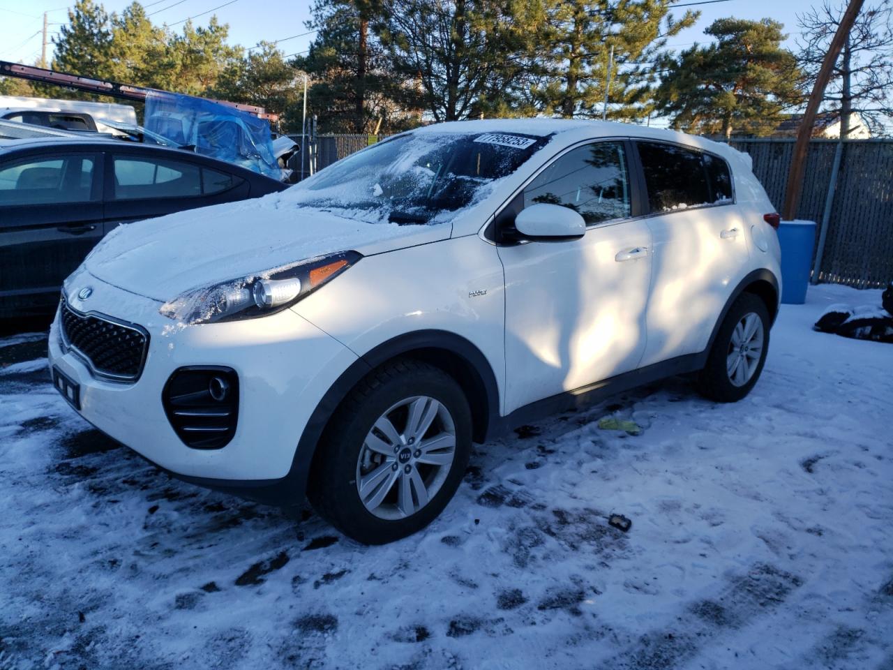 2019 Kia Sportage Lx VIN: KNDPMCAC1K7507271 Lot: 77958253