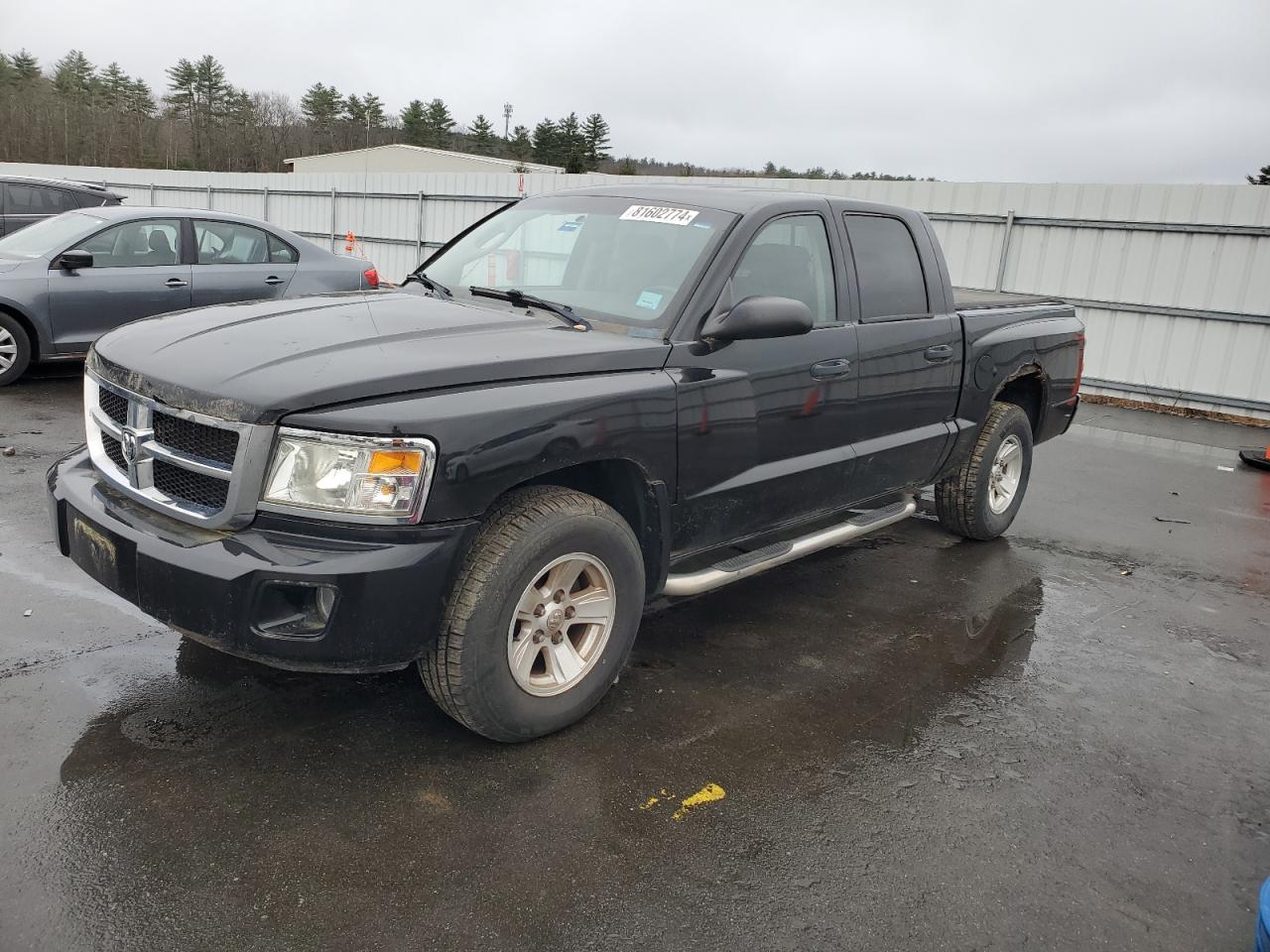 2008 Dodge Dakota Quad Slt VIN: 1D7HW48N98S523242 Lot: 81602774