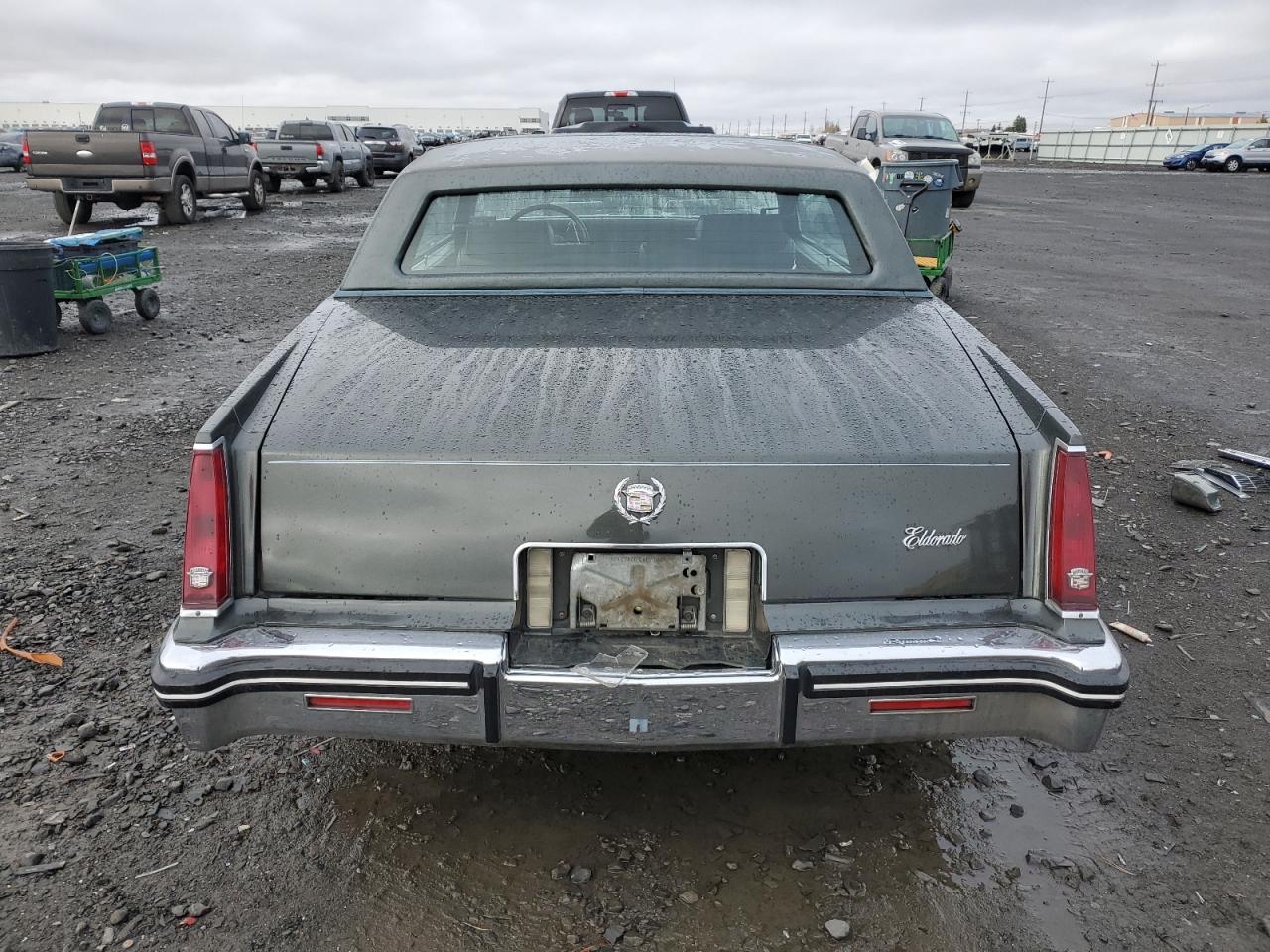 1984 Cadillac Eldorado VIN: 1G6AL5781EE619594 Lot: 80918934