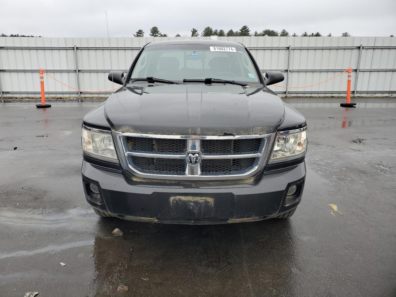 2008 Dodge Dakota Quad Slt VIN: 1D7HW48N98S523242 Lot: 81602774