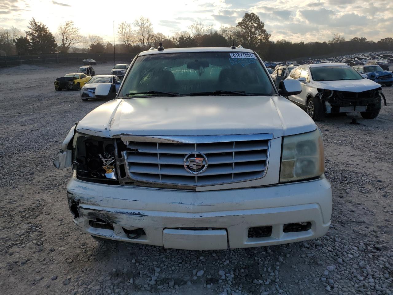 3GYEK63N13G126534 2003 Cadillac Escalade Ext